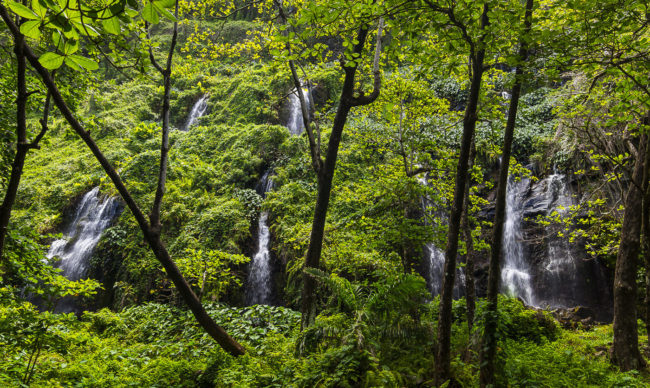 Bois Blanc, Ile De La Reunion - GPS -21.185007, 55.826190 - Canon EOS 7D + Tokina AF 11-16mm f/2.8 AT-X Pro DX -  - 1/40 - f/5.0 - ISO100