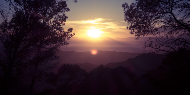 Ciudad Jardín, Spain - GPS 36.819797, -4.385017 - SONY DSC-RX100 IV + 27-70mm F1.8-2.8 - 70mm - 1/60 - f/8.0 - ISO80