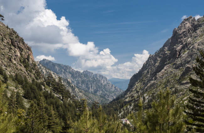 Casamaccioli, France - GPS 42.236808, 9.039155 - Panasonic GH4 + Panasonic Lumix G Vario 12-35mm/2,8 OIS - 66mm - 1/125 - f/8.0 - ISO200