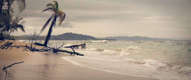 Manzanillo, Costa Rica - GPS 9.643705, -82.686227 - Panasonic Lumix DMC-GH5 + Panasonic Lumix GX Vario 35-100mm f/2.8 Power OIS - 70mm - 1/125 - f/3.2 - ISO100