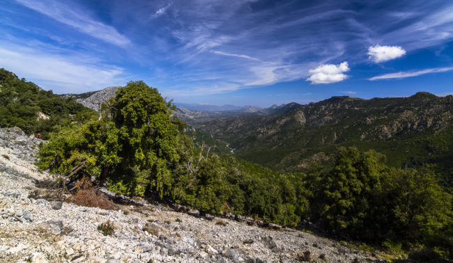 Urzulei, Italy - GPS 40.169393, 9.504838 - Canon EOS 7D + Tokina AF 11-16mm f/2.8 AT-X Pro DX -  - 1/125 - f/8.0 - ISO100