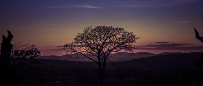 Okaaruu, Namibia - GPS -18.694691, 13.742303 - Sony A6500 + SONY FE 24-105mm, F4 G OSS - 139mm - 1/250 - f/4.0 - ISO320