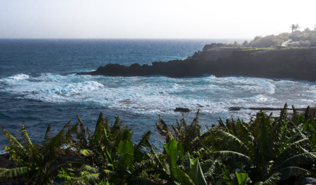 Las Ledas, Spain - GPS 28.806605, -17.762070 - Panasonic GH4 + Panasonic Lumix G Vario 12-35mm/2,8 OIS - 38mm - 1/160 - f/8.0 - ISO200