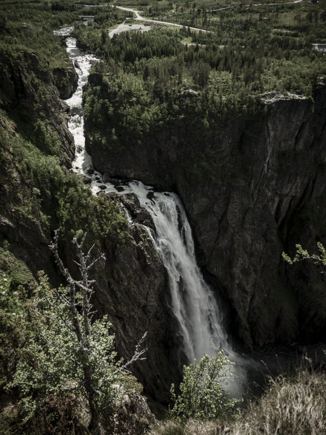 Garden, Norway - GPS 60.427437, 7.253603 - Panasonic GH4 + Panasonic Lumix G Vario 12-35mm/2,8 OIS - 26mm - 1/500 - f/2.8 - ISO100
