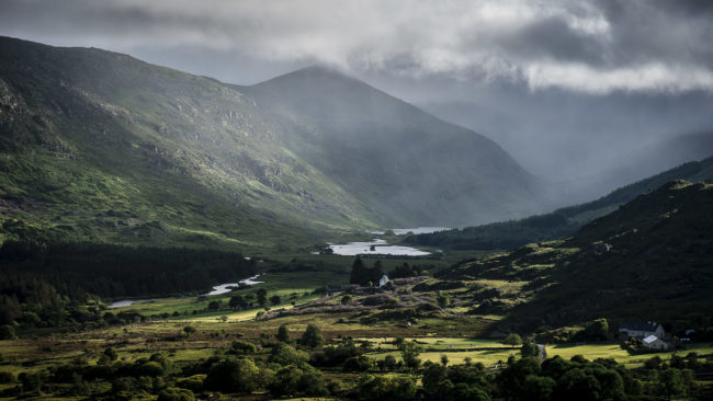 Derrylea, Ireland - GPS 51.989383, -9.653822 - Panasonic Lumix DMC-GH5 + Panasonic Lumix GX Vario 35-100mm f/2.8 Power OIS - 78mm - 1/80 - f/5.6 - ISO100