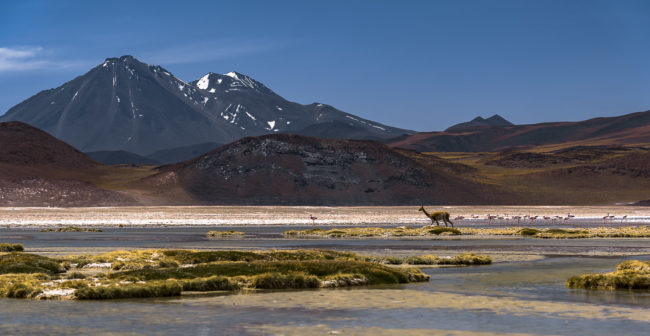 Socaire, Chile - GPS -23.954785, -67.580303 - Sony A7III + SONY FE 24-105mm, F4 G OSS - 105mm - 1/250 - f/6.3 - ISO100