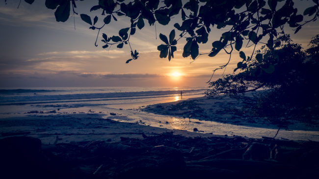 Primavera, Costa Rica - GPS 9.882948, -85.576215 - Panasonic Lumix GX8 + Panasonic LEICA DG SUMMILUX 12mm f1.4 - 24mm - 1/60 - f/8.0 - ISO200