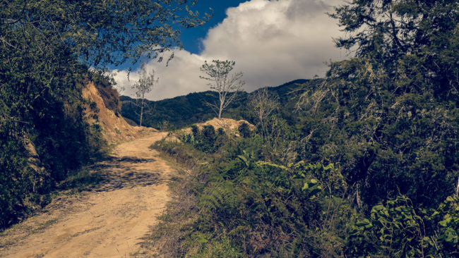 Piedra, Costa Rica - GPS 9.509883, -83.673460 - Panasonic Lumix DMC-GH5 + LUMIX G VARIO 12-35/F2.8 - 42mm - 1/320 - f/4.5 - ISO100