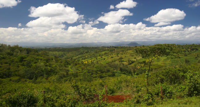 Timau, Kenya - GPS 0.054825, 37.205768 - Canon EOS 20D + Canon EF-S 17-85mm f/4-5.6 IS USM & Canon EF 70-300mm f/4-5.6 IS USM -  - 0/1 - f/8.0 - ISO100