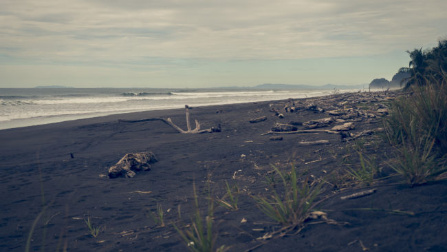 Playa Hermosa, Costa Rica - GPS 9.558057, -84.579945 - Panasonic Lumix DMC-GH5 + LUMIX G VARIO 12-35/F2.8 - 46mm - 1/1000 - f/2.8 - ISO100