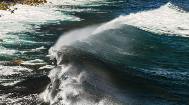 Baril, Réunion - GPS -21.368848, 55.735383 - Canon EOS 7D + Canon EF 70-200mm f/4 USM L IS -  - 1/500 - f/4.0 - ISO100