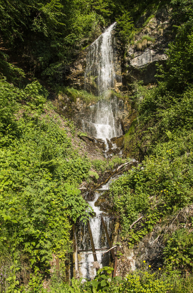 Artigues, France - GPS 42.925697, 0.196960 - Canon EOS 1100D + Tamron AF 17-50mm 2,8 XR Di II LD ASL -  - 1/160 - f/5.0 - ISO100
