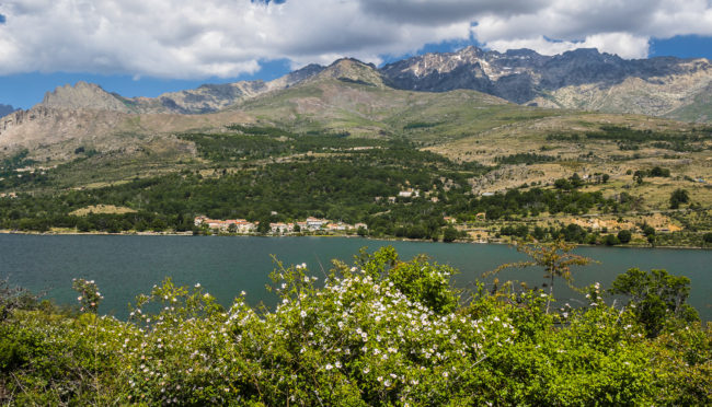 Sidossi, France - GPS 42.323242, 9.015577 - Panasonic GH4 + Panasonic Lumix G Vario 12-35mm/2,8 OIS - 38mm - 1/125 - f/8.0 - ISO200