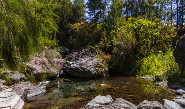 Les Aigrettes, Réunion - GPS -21.129922, 55.446283 - Canon EOS 7D + Tokina AF 11-16mm f/2.8 AT-X Pro DX -  - 1/40 - f/8.0 - ISO100