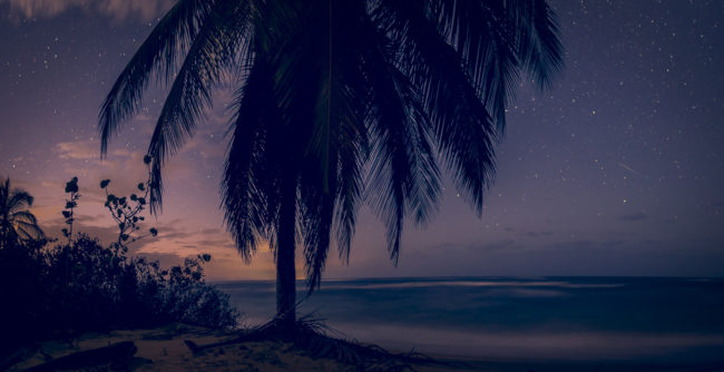 Manzanillo, Costa Rica - GPS 9.643765, -82.686225 - Panasonic Lumix DMC-GH5 + Panasonic LEICA DG SUMMILUX 12mm f1.4 - 24mm - 20/1 - f/1.4 - ISO1600