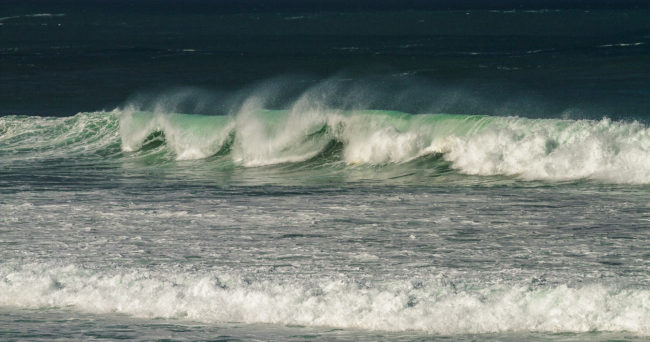 La Rambla, Spain - GPS 28.394568, -16.601827 - Canon EOS 7D + Canon EF 70-200mm f/4 USM L IS -  - 1/500 - f/8.0 - ISO100