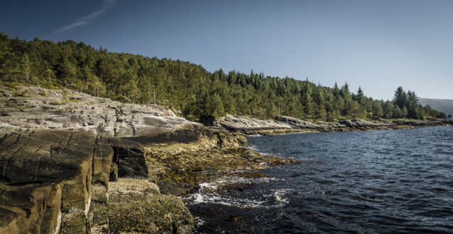 Sætesvik, Norway - GPS 61.122155, 5.227508 - Panasonic GH4 + Panasonic Lumix G Vario 12-35mm/2,8 OIS - 24mm - 1/50 - f/8.0 - ISO100