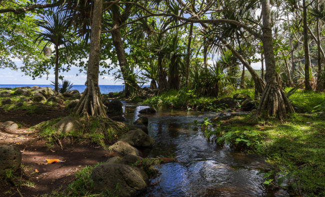 Bois-Blanc, Réunion - GPS -21.185482, 55.826793 - Canon EOS 7D + Tokina AF 11-16mm f/2.8 AT-X Pro DX -  - 1/40 - f/5.6 - ISO100