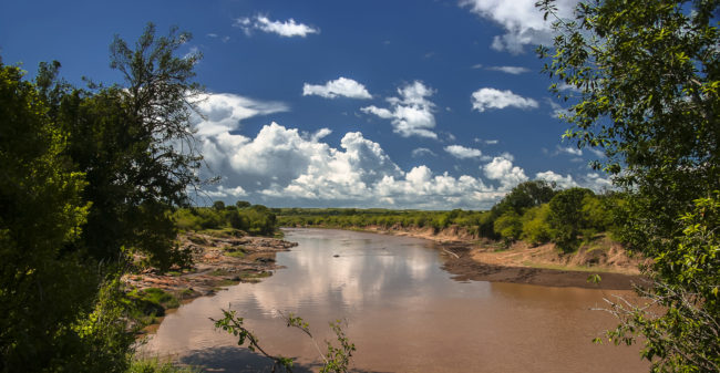 Maasai Mara, Kenya - GPS -1.644837, 35.275072 - Canon EOS 20D + Canon EF-S 17-85mm f/4-5.6 IS USM & Canon EF 70-300mm f/4-5.6 IS USM -  - 0/1 - f/8.0 - ISO100