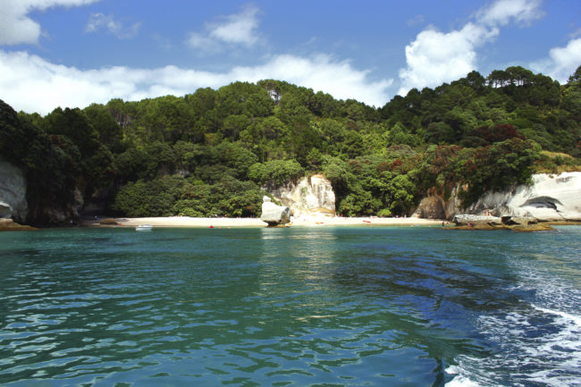 Hahei, New Zealand - GPS -36.832263, 175.799605 - Canon EOS 20D + Canon EF-S 17-85mm f/4-5.6 IS USM -  - 1/100 - f/8.0 - ISO