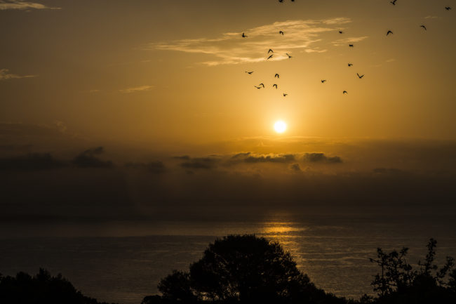 Dorgali, Italy - GPS 40.262662, 9.616255 - Canon EOS 1100D + Tamron AF 17-50mm 2,8 XR Di II LD ASL -  - 1/500 - f/8.0 - ISO100
