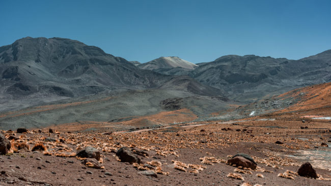 Linzor, Chile - GPS -22.352207, -68.014903 - Sony A7III + SONY FE 24-105mm, F4 G OSS - 58mm - 1/80 - f/8.0 - ISO100