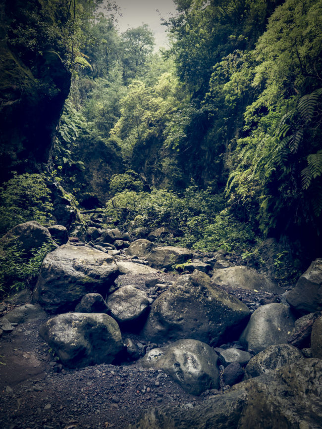 Orotava, Spain - GPS 28.788667, -17.802207 - Panasonic GH4 + Panasonic Lumix G Vario 12-35mm/2,8 OIS - 24mm - 1/60 - f/2.8 - ISO2000