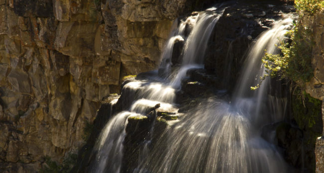 Canyon Village, United States - GPS 44.719523, -110.497292 - Canon EOS 7D + Sigma AF 24-70mm f/2.8 EX DG macro -  - 1/100 - f/8.0 - ISO100