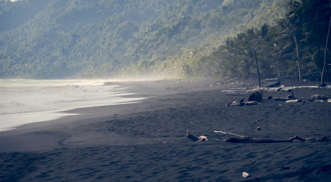 Carate, Costa Rica - GPS 8.439327, -83.450337 - Panasonic Lumix DMC-GH5 + LEICA DG 100-400/F4.0-6.3 - 214mm - 1/400 - f/8.0 - ISO800
