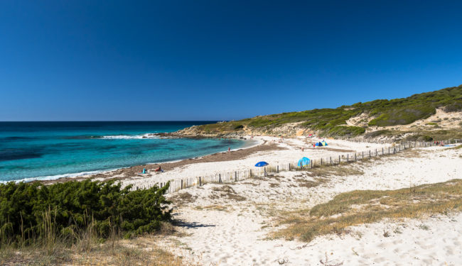 Corbara, France - GPS 42.629817, 8.913992 - Panasonic GH4 + Panasonic Lumix G Vario 12-35mm/2,8 OIS - 24mm - 1/160 - f/8.0 - ISO200