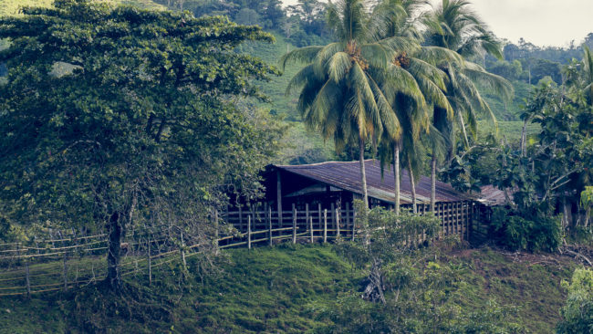 Potrero, Costa Rica - GPS 8.771018, -83.506727 - Panasonic Lumix GX8 + LUMIX G VARIO 35-100/F2.8 - 112mm - 1/20 - f/8.0 - ISO200