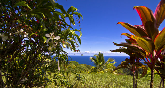 Honomanü Ahupua`a, Hawaii - GPS 20.867733, -156.178483 - Canon EOS 7D + Tokina AF 11-16mm f/2.8 AT-X Pro DX -  - 1/125 - f/7.1 - ISO100