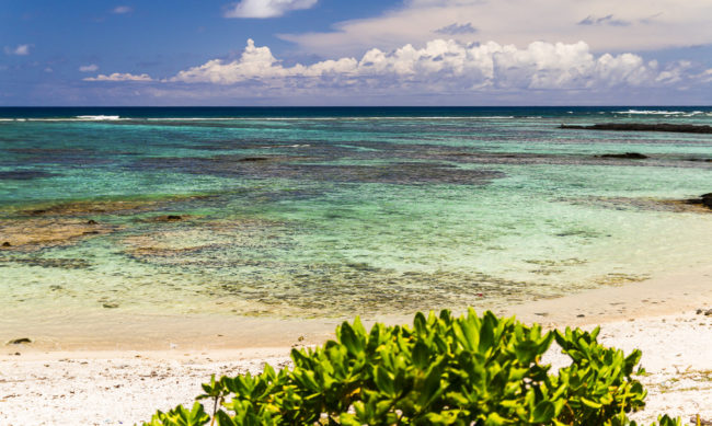 Trou d’Eau Douce, Mauritius - GPS -20.227780, 57.804770 - Canon EOS 7D + Sigma 17-50mm, F2,8 EX DC OS HSM -  - 1/1250 - f/2.8 - ISO100