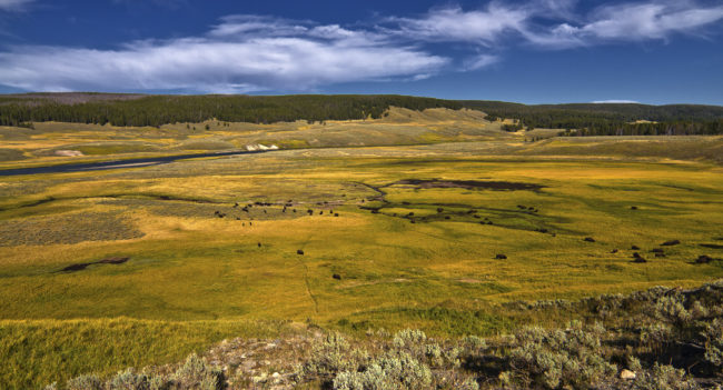 Mammoth, United States - GPS 44.859922, -110.736200 - Canon EOS 7D + Tokina AF 11-16mm f/2.8 AT-X Pro DX -  - 0/1 - f/9.0 - ISO100