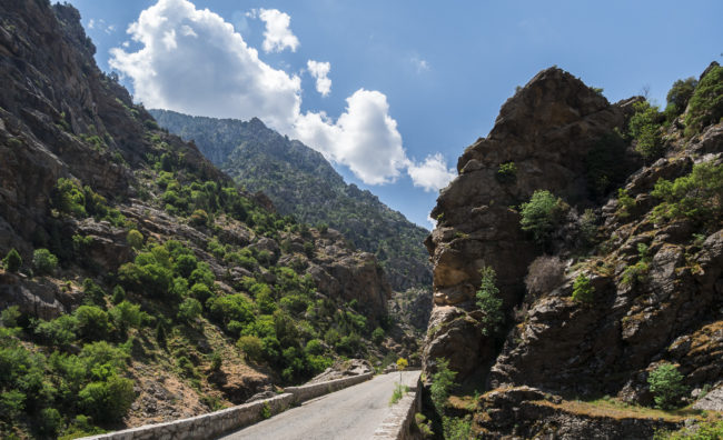 Corscia, France - GPS 42.366003, 9.047753 - Panasonic GH4 + Panasonic Lumix G Vario 12-35mm/2,8 OIS - 24mm - 1/100 - f/8.0 - ISO200