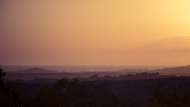 Ponte Olivo, Italy - GPS 37.126052, 14.251445 - Panasonic GH4 + Panasonic Lumix G X VARIO 35-100mm f/2.8 Power OIS - 200mm - 1/320 - f/7.1 - ISO200