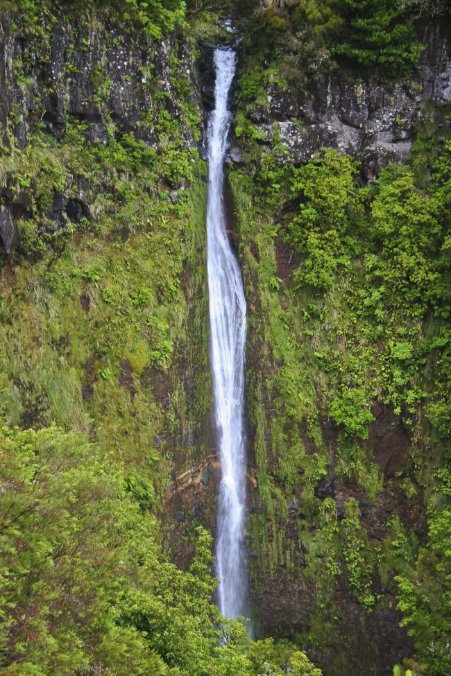 Lapinhas, Portugal - GPS 32.760707, -16.959472 - Canon EOS 20D + Canon EF-S 17-85mm f/4-5.6 IS USM -  - 1/100 - f/8.0 - ISO100