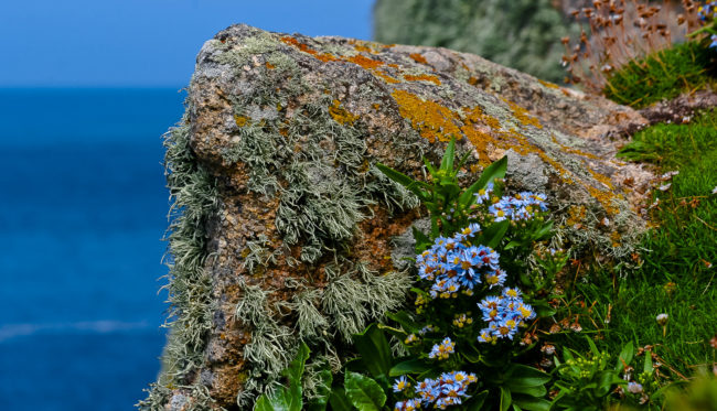 Sennen, United Kingdom - GPS 50.066892, -5.715530 - Canon EOS 20D + Canon EF-S 17-85mm f/4-5.6 IS USM -  - 1/40 - f/7.1 - ISO100