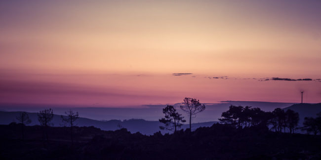 Gestoso, Portugal - GPS 40.873600, -8.233720 - Panasonic GH4 + Panasonic Lumix G X VARIO 35-100mm f/2.8 Power OIS - 200mm - 25/10 - f/13.0 - ISO400