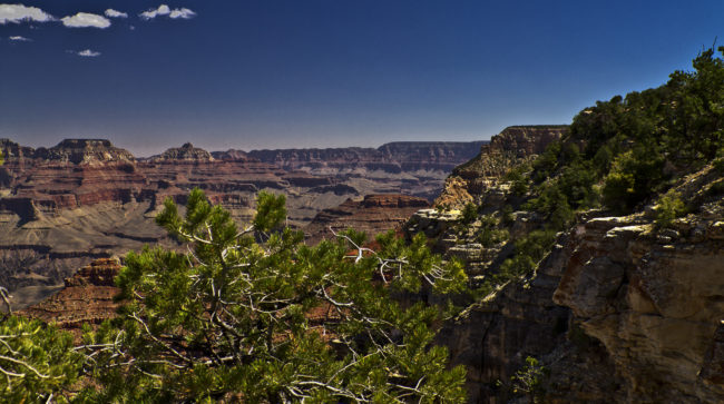 Grand Canyon, United States - GPS 36.066372, -112.117592 - Canon EOS 7D + Tokina AF 11-16mm f/2.8 AT-X Pro DX -  - 0/1 - f/8.0 - ISO100