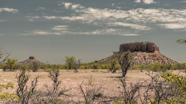 Okavakwa, Namibia - GPS -20.393956, 15.434126 - Sony A7III + SONY FE 24-105mm, F4 G OSS - 56mm - 1/200 - f/8.0 - ISO100