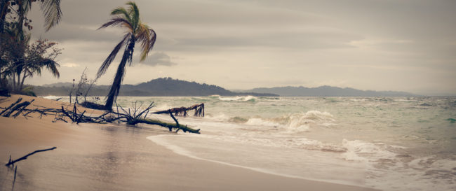 Manzanillo, Costa Rica - GPS 9.643705, -82.686227 - Panasonic Lumix DMC-GH5 + LUMIX G VARIO 35-100/F2.8 - 70mm - 1/125 - f/3.2 - ISO100