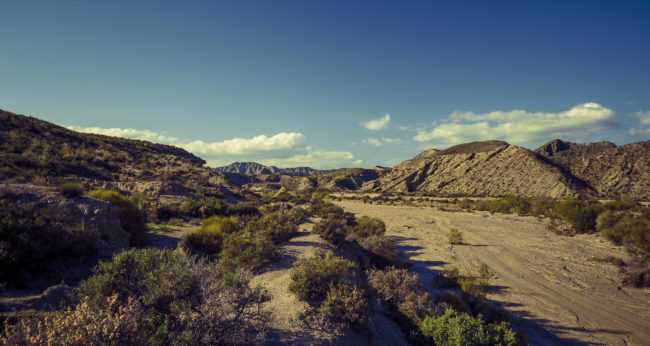 Paulenca, Spain - GPS 36.995538, -2.475862 - Panasonic GH4 + Panasonic Lumix G Vario 12-35mm/2,8 OIS - 24mm - 1/160 - f/8.0 - ISO200