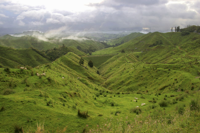 Whangamomona, New Zealand - GPS -39.130143, 174.730645 - Canon EOS 20D + Canon EF-S 17-85mm f/4-5.6 IS USM -  - 0/1 - f/8.0 - ISO100