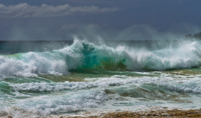 Hawai‘i Kai, United States - GPS 21.285677, -157.672933 - Canon EOS 7D + Sigma 17-50mm, F2,8 EX DC OS HSM -  - 1/1250 - f/8.0 - ISO100