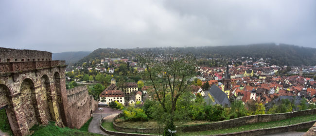 Wertheim, Germany - GPS 49.758777, 9.519348 - Canon EOS 7D + Walimex Pro 8mm, f3,5, Fisheye -  - 1/160 - f/11.0 - ISO100