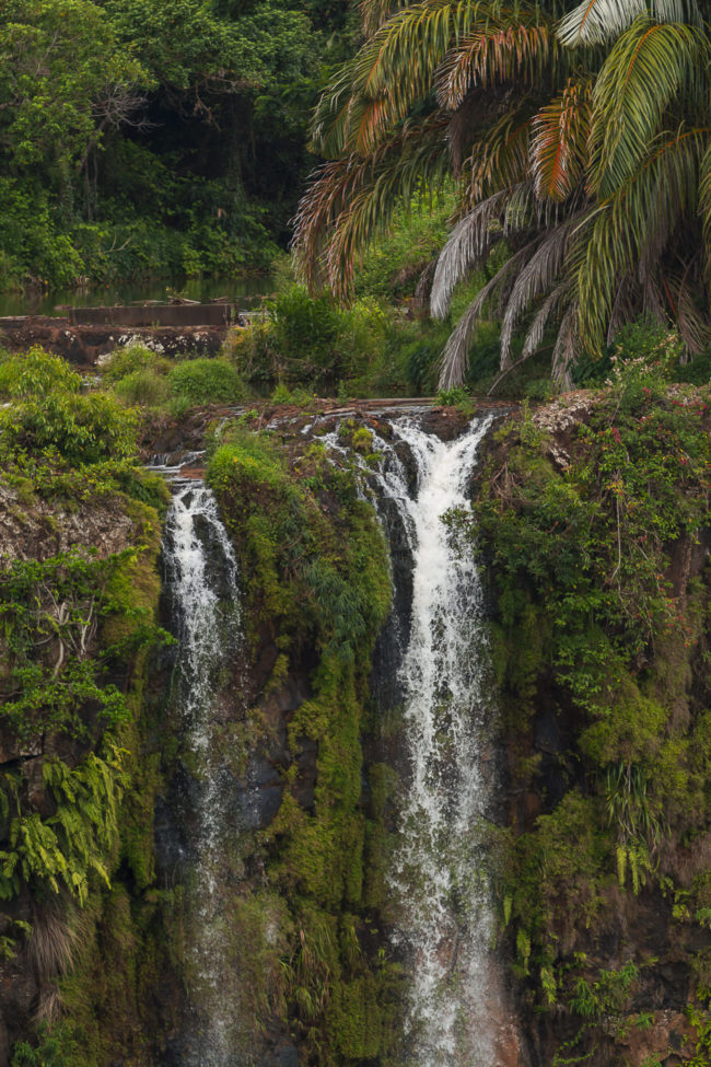 Cachette, Mauritius - GPS -20.442975, 57.384138 - Canon EOS 7D + Canon EF 70-200mm f/4 USM L IS -  - 1/400 - f/4.0 - ISO320