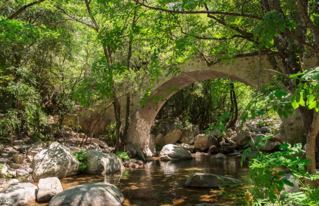Évisa, France - GPS 42.259167, 8.776585 - Panasonic GH4 + Panasonic Lumix G Vario 12-35mm/2,8 OIS - 24mm - 1/30 - f/5.6 - ISO200