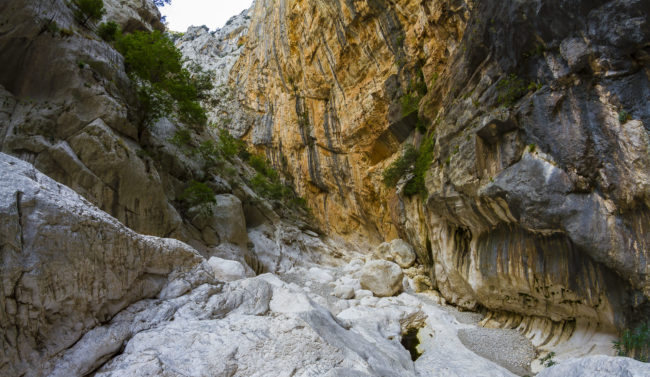 Urzulei, Italy - GPS 40.186483, 9.501942 - Canon EOS 7D + Walimex Pro 8mm, f3,5, Fisheye -  - 1/20 - f/11.0 - ISO100