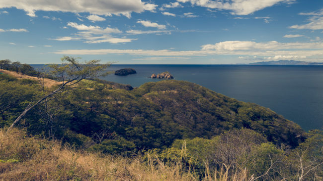 Cacique, Costa Rica - GPS 10.570098, -85.691688 - Panasonic Lumix DMC-GH5 + LUMIX G VARIO 12-35/F2.8 - 24mm - 1/100 - f/8.0 - ISO100